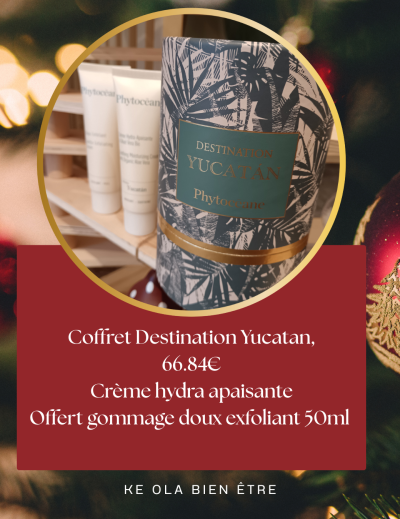 Post Instagram Fermeture Noël Moderne Simple Rouge et Vert (4)